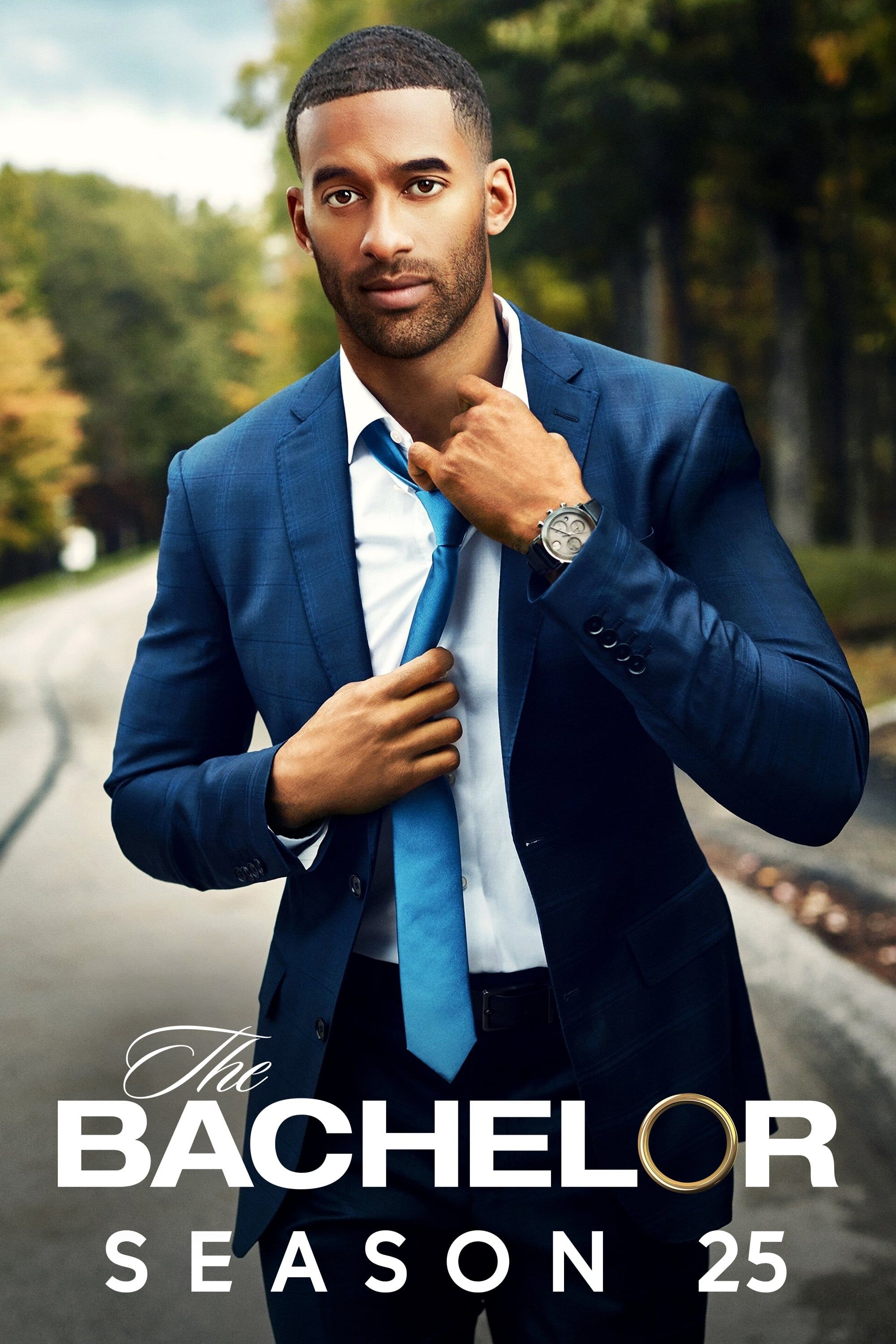 Where To Watch Season 25 Of The Bachelor